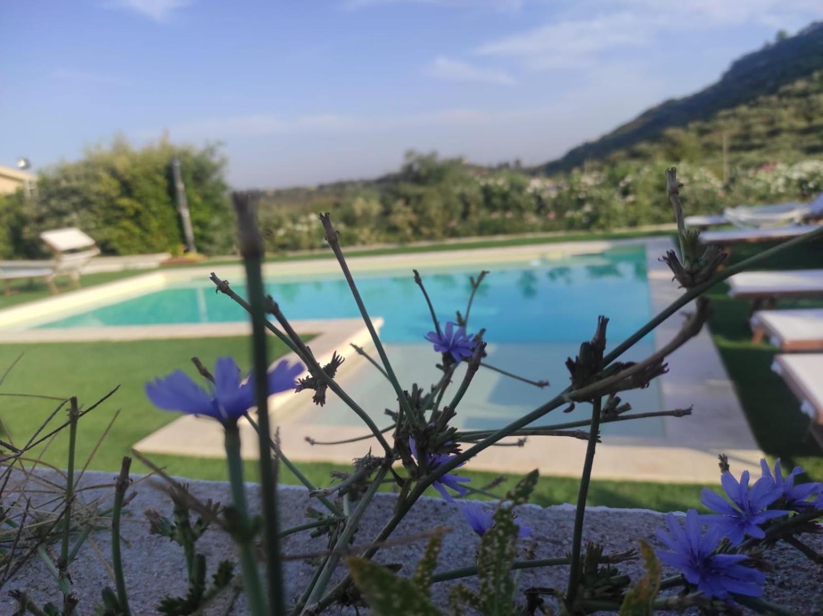 B&B Badde Tale Ossi Exterior foto